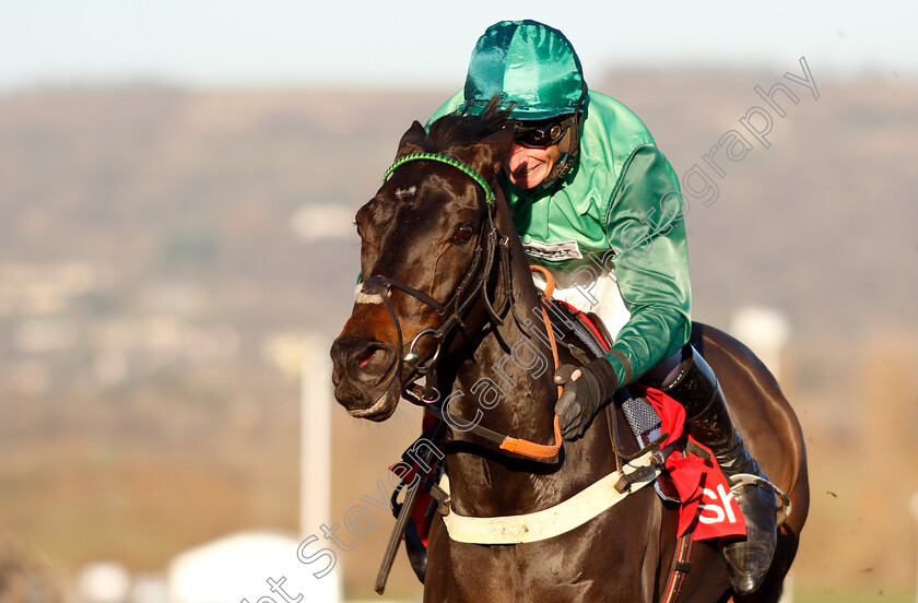 Sceau-Royal-0008 
 SCEAU ROYAL (Daryl Jacob) wins The Shloer Chase
Cheltenham 18 Nov 2018 - Pic Steven Cargill / Racingfotos.com