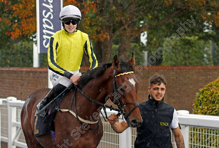 Hallelujah-U-0001 
 HALLELUJAH U (Sean Dylan Bowen)
Newmarket 26 Sep 2024 - pic Steven Cargill / Racingfotos.com