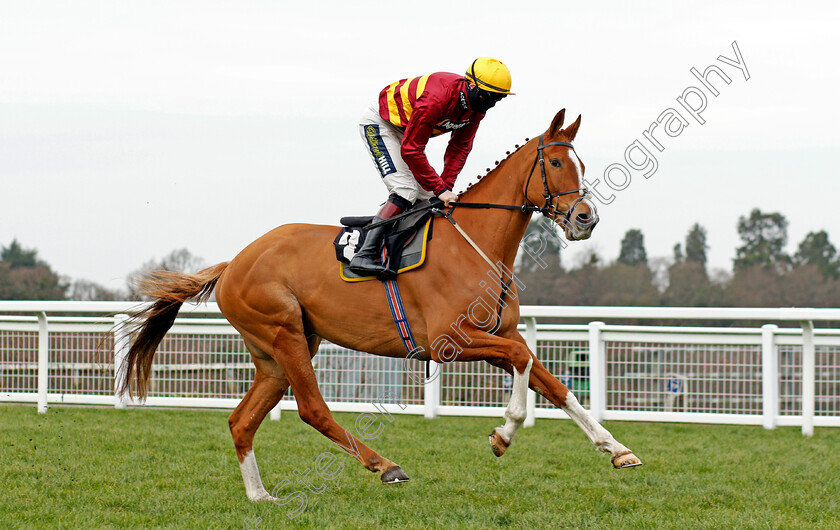 One-True-King-0001 
 ONE TRUE KING (Sam Twiston-Davies)
Ascot 20 Feb 2021 - Pic Steven Cargill / Racingfotos.com