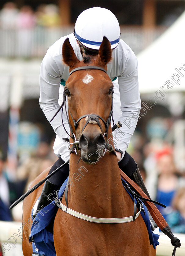 Firelight-0001 
 FIRELIGHT (Rob Hornby)
York 15 Jun 2019 - Pic Steven Cargill / Racingfotos.com