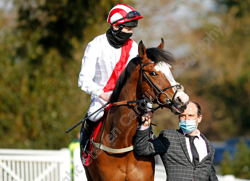 Victory-Heights-0001 
 VICTORY HEIGHTS (Luke Morris)
Lingfield 2 Apr 2021 - Pic Steven Cargill / Racingfotos.com