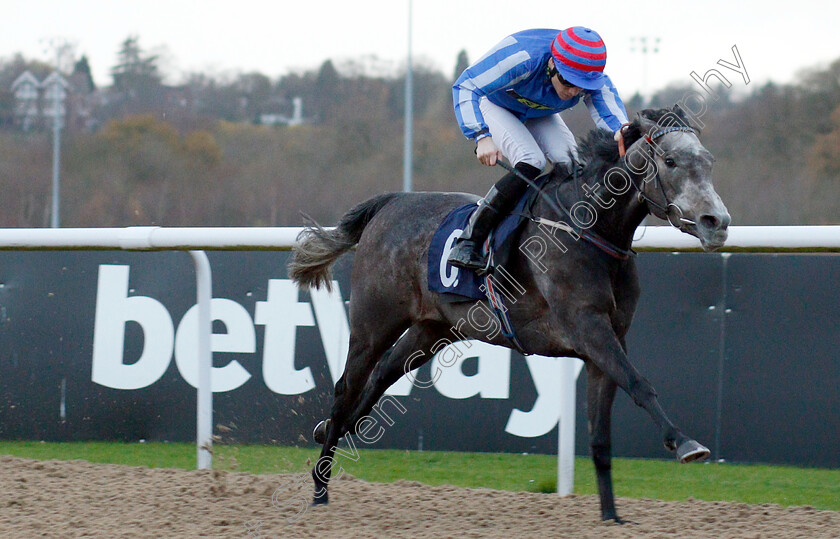 Delicious-0005 
 DELICIOUS (Callum Shepherd) wins The Ladbrokes Bet £5 Get £20 Nursery
Wolverhampton 28 Nov 2018 - Pic Steven Cargill / Racingfotos.com