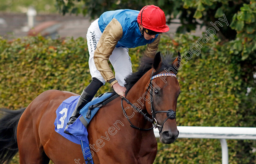 Dunamase-0009 
 DUNAMASE (James Doyle) winner of The Unitbet British Stallion Studs EBF Novice Stakes
Kempton 28 Aug 2024 - Pic Steven Cargill / Racingfotos.com