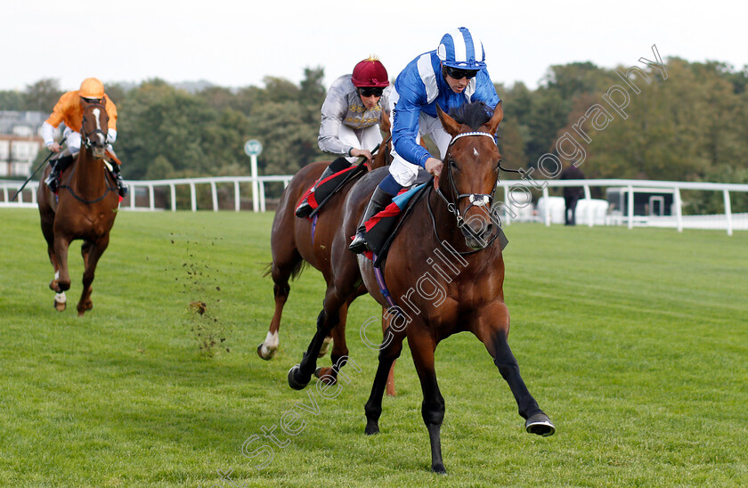 Wadilsafa-0007 
 WADILSAFA (Jim Crowley) wins The Smarkets Fortune Stakes
Sandown 19 Sep 2018 - Pic Steven Cargill / Racingfotos.com