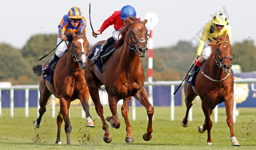 Threat-0004 
 THREAT (centre, Pat Dobbs) beats JUAN ELCANO (right) in The Pommery Champagne Stakes
Doncaster 14 Sep 2019 - Pic Steven Cargill / Racingfotos.com