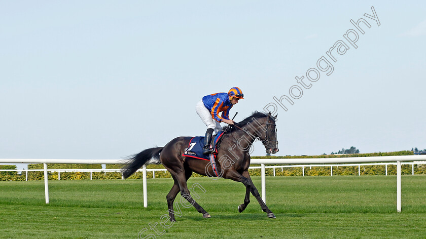 Auguste-Rodin-0015 
 AUGUSTE RODIN (Ryan Moore) winner of The Royal Bahrain Irish Champion Stakes
Leopardstown 9 Sep 2023 - Pic Steven Cargill / Racingfotos.com