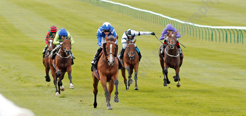 Withhold-0006 
 WITHHOLD (Jason Watson) wins The Jockey Club Rose Bowl Stakes
Newmarket 26 Sep 2019 - Pic Steven Cargill / Racingfotos.com