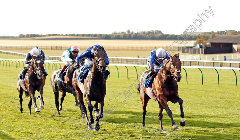 Mountain-Hunter-0002 
 MOUNTAIN HUNTER (right, Oisin Murphy) beats LOXLEY (left) in The Mukhadram Godolphin Stakes
Newmarket 27 Sep 2019 - Pic Steven Cargill / Racingfotos.com