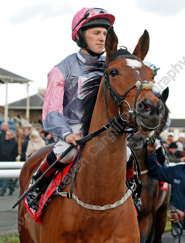 Sepal-0001 
 SEPAL (Jamie Gormley) Doncaster 11 Nov 2017 - Pic Steven Cargill / Racingfotos.com