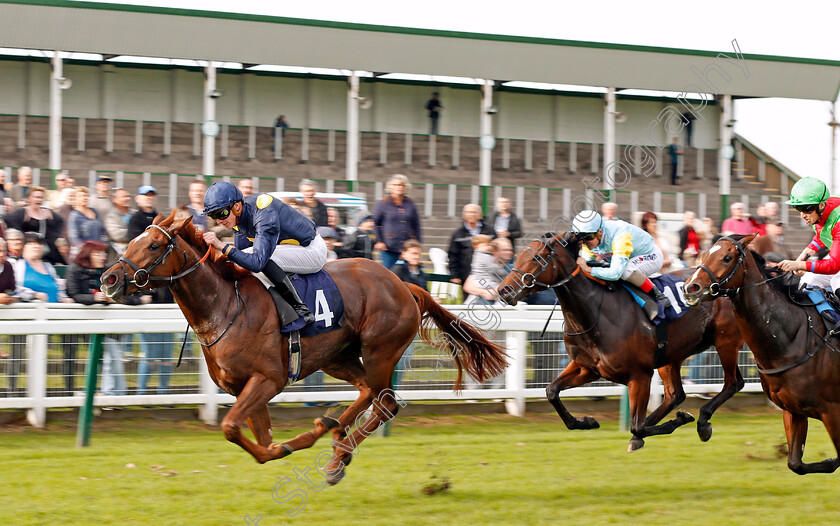 Dramatic-Queen-0002 
 DRAMATIC QUEEN (James Doyle) wins The Breeders Backing Racing EBF Fillies Novice Stakes Div1 Yarmouth 24 Oct 2017 - Pic Steven Cargill / Racingfotos.com