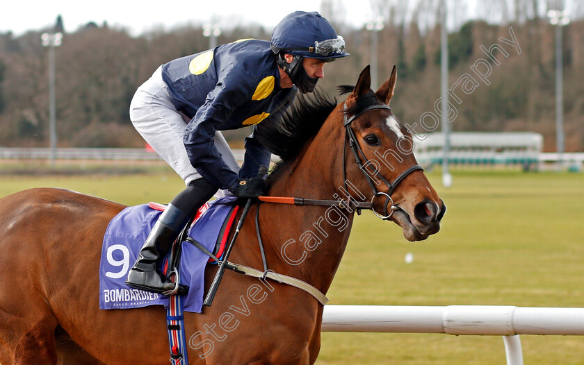 Shimmering-Dawn-0001 
 SHIMMERING DAWN (Tom Eaves)
Wolverhampton 13 Mar 2021 - Pic Steven Cargill / Racingfotos.com