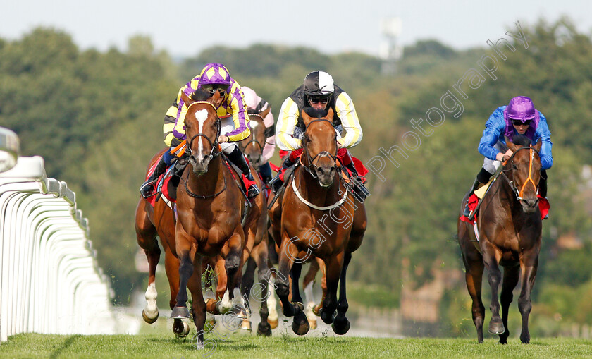 Skyman-0006 
 SKYMAN (left, Jason Watson) beats DARGEL (centre) in The Betway Live Casino Handicap
Sandown 30 Aug 2019 - Pic Steven Cargill / Racingfotos.com