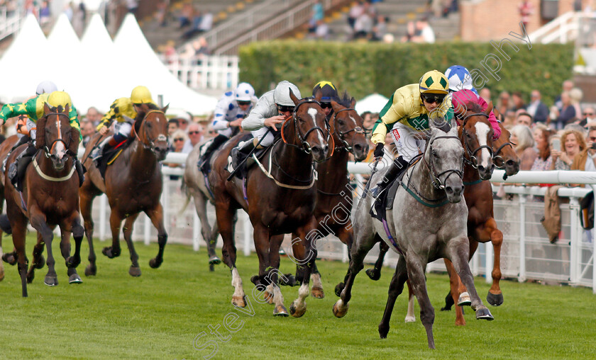 Lord-Riddiford-0002 
 LORD RIDDIFORD (Hollie Doyle) wins The Back To Goodwood Handicap
Goodwood 27 Jul 2021 - Pic Steven Cargill / Racingfotos.com