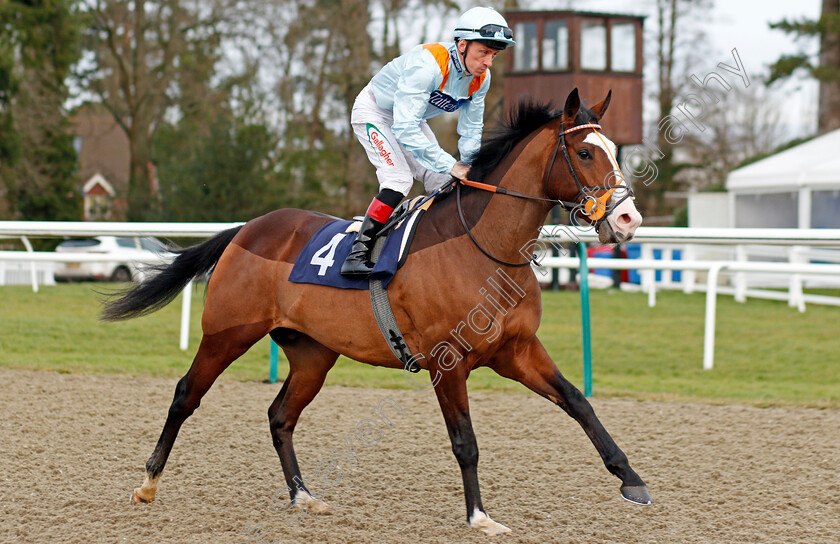 Longsider-0001 
 LONGSIDER (Shane Kelly)
Lingfield 18 Dec 2019 - Pic Steven Cargill / Racingfotos.com