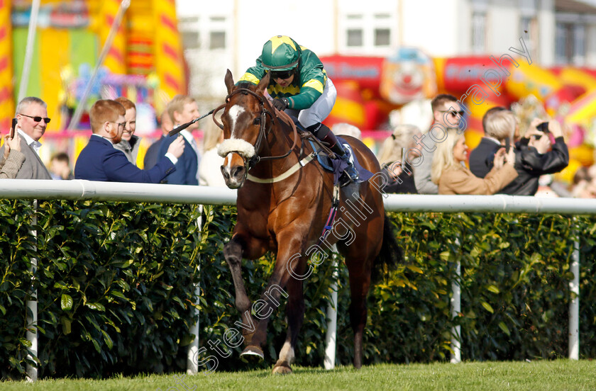 Bucephalus-0002 
 BUCEPHALUS (Rose Dawes) wins The Injured Jockeys Fund Handicap
Doncaster 2 Apr 2023 - Pic Steven Cargill / Racingfotos.com