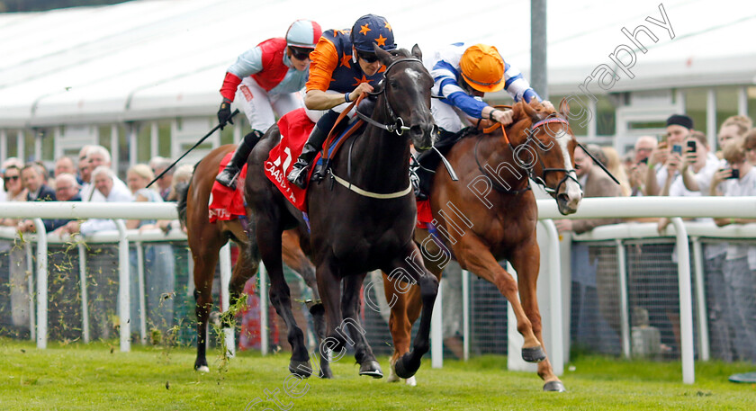 Seraphim-Angel-0003 
 SERAPHIM ANGEL (Pierre-Louis Jamin) wins The CAA Stellar Lily Agnes EBF Stakes
Chester 8 May 2024 - Pic Steven Cargill / Racingfotos.com