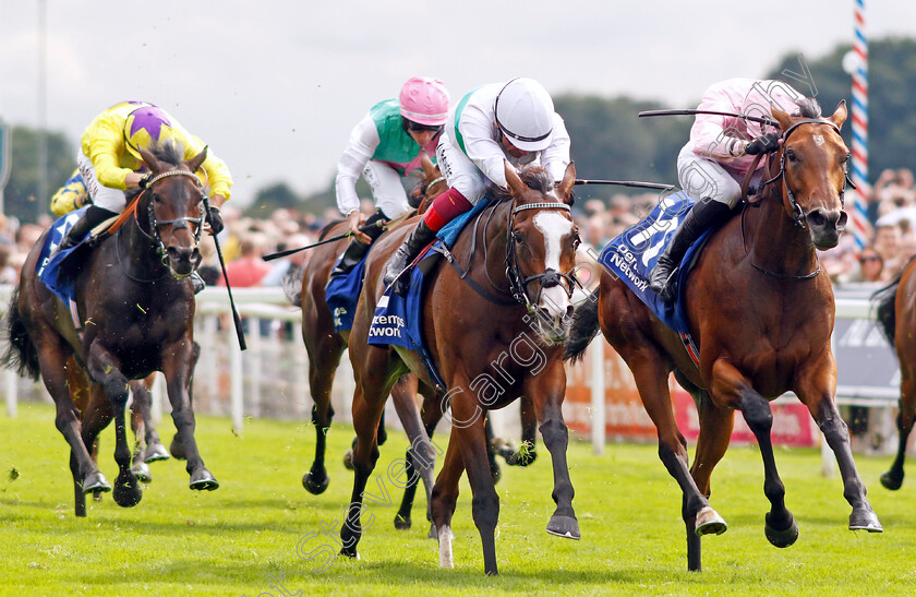 Warm-Heart-0006 
 WARM HEART (right, James Doyle) beats FREE WIND (centre) in The Pertemps Network Yorkshire Oaks
York 24 Aug 2023 - Pic Steven Cargill / Racingfotos.com