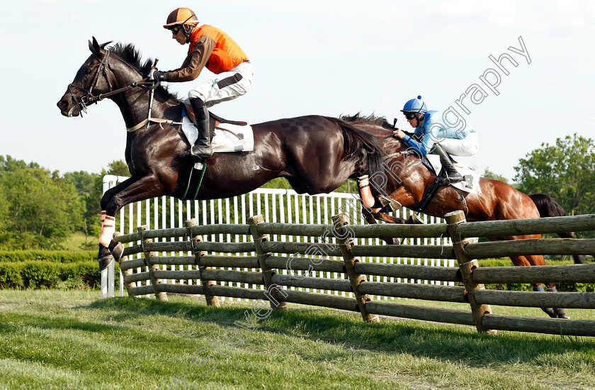 Dye-Fore-0001 
 DYE FORE (Willie McCarthy) during The Mason Houghland Memorial Timber Steeplechase
Percy Warner Park, Nashville USA, 12 May 2018 - Pic Steven Cargill / Racingfotos.com