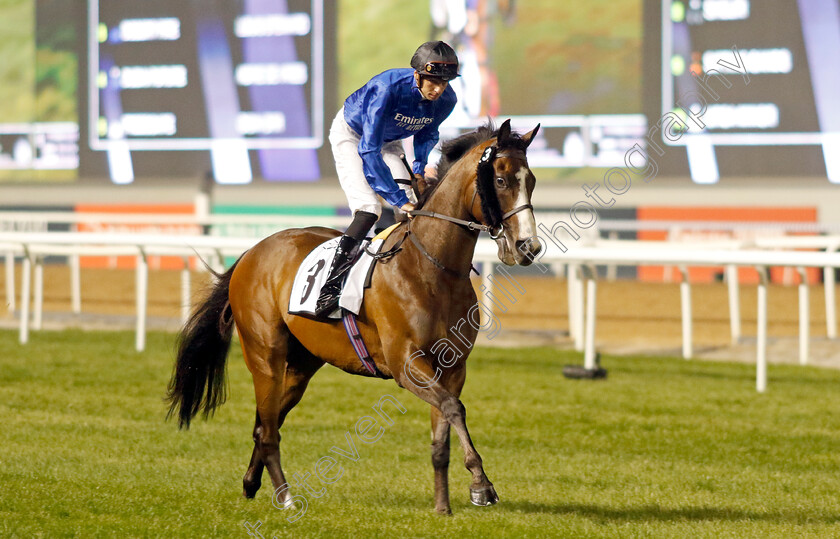 Desert-Fire-0001 
 DESERT FIRE (Louis Steward)
Meydan 3 Feb 2023 - Pic Steven Cargill / Racingfotos.com