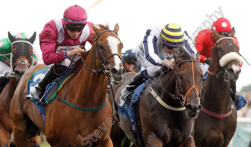 El-Astronaute-0004 
 EL ASTRONAUTE (left, Rossa Ryan) beats FINAL VENTURE (centre) in The Sky Bet & Symphony Group Handicap
York 22 Aug 2018 - Pic Steven Cargill / Racingfotos.com