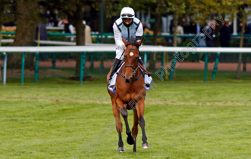 Teodolina-0001 
 TEODOLINA (Sean Levey)
Haydock 22 May 2021 - Pic Steven Cargill / Racingfotos.com