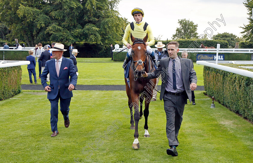 Jadoomi-0010 
 JADOOMI (William Buick) winner of The William Hill Celebration Mile
Goodwood 27 Aug 2022 - Pic Steven Cargill / Racingfotos.com