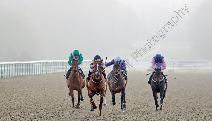 Going-Places-0003 
 GOING PLACES (Hollie Doyle) wins The Bombardier March To Your Own Drum Novice Stakes
Lingfield 9 Jan 2021 - Pic Steven Cargill / Racingfotos.com