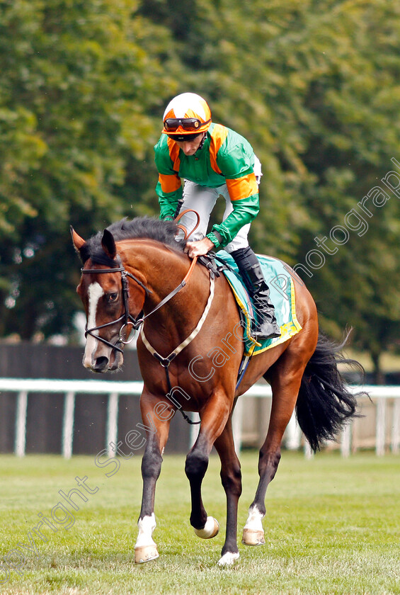 Shared-Belief-0001 
 SHARED BELIEF (Daniel Tudhope)
Newmarket 13 Jul 2019 - Pic Steven Cargill / Racingfotos.com