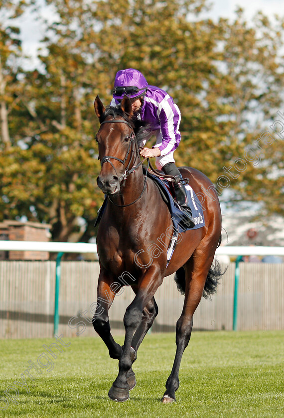 Wichita-0007 
 WICHITA (Ryan Moore) winner of The Tattersalls Stakes
Newmarket 26 Sep 2019 - Pic Steven Cargill / Racingfotos.com