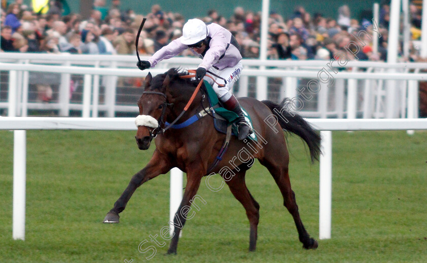 Glory-And-Fortune-0003 
 GLORY AND FORTUNE (Richard Johnson) wins The EBF Stallions & Cheltenham Pony Club Standard Open National Hunt Flat Race
Cheltenham 1 Jan 2019 - Pic Steven Cargill / Racingfotos.com