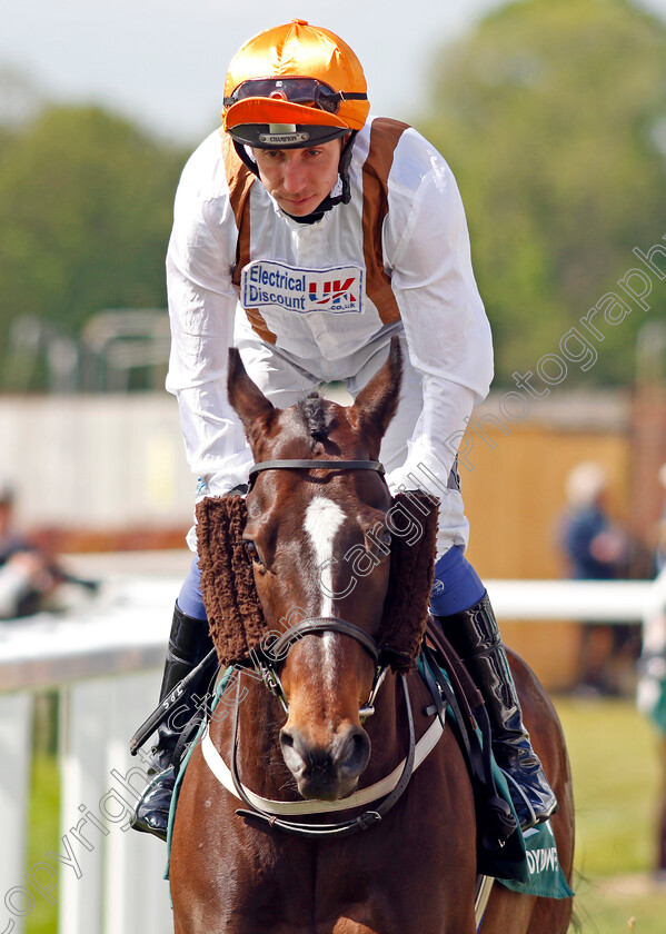 Garden-Oasis 
 GARDEN OASIS (James Sullivan)
York 12 May 2022 - Pic Steven Cargill / Racingfotos.com