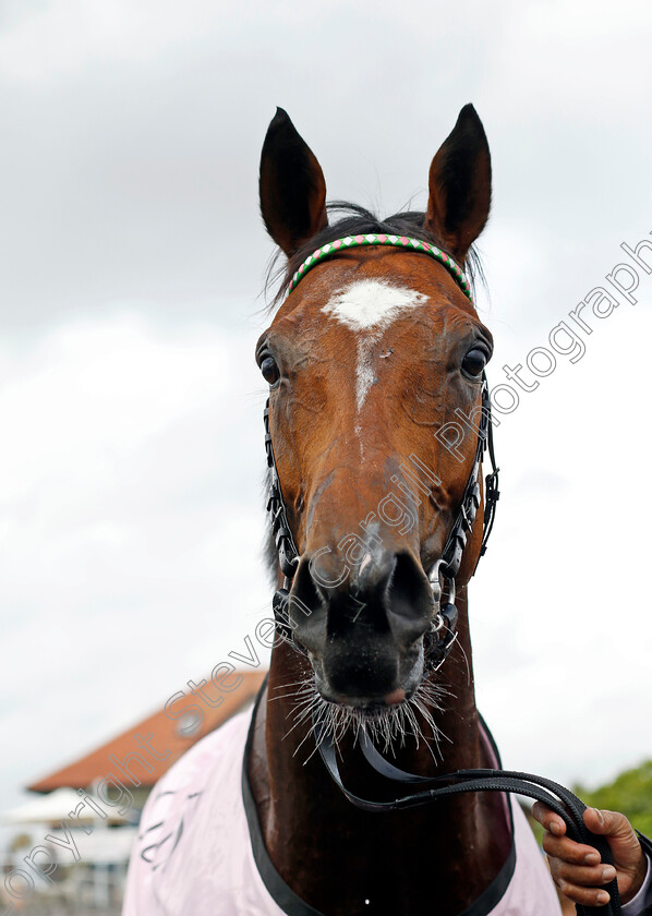 Arrest-0014 
 ARREST after The Boodles Chester Vase
Chester 10 May 2023 - Pic Steven Cargill / Racingfotos.com