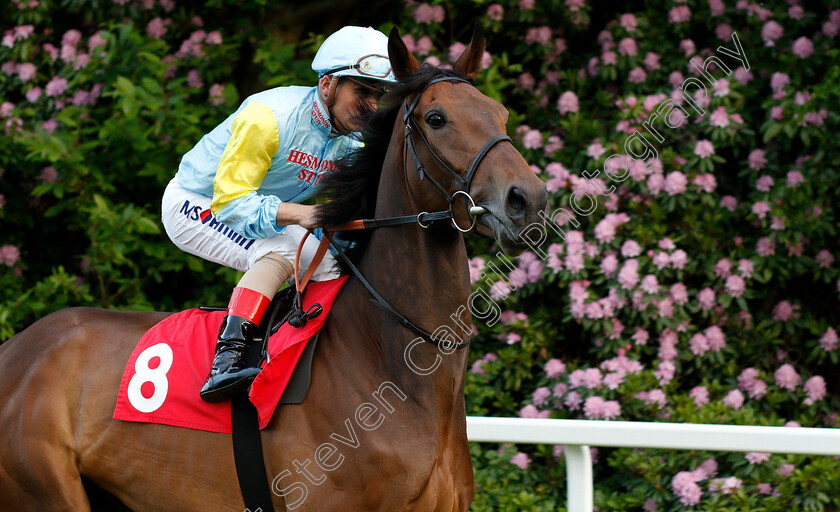 Aktau-0001 
 AKTAU (Andrea Atzeni)
Sandown 30 May 2019 - Pic Steven Cargill / Racingfotos.com