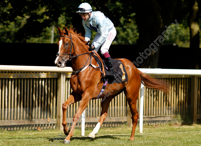 Queen s-Reign-0002 
 QUEEN'S REIGN (Oisin Murphy)
Newmarket 29 Jun 2024 - Pic Steven Cargill / Racingfotos.com