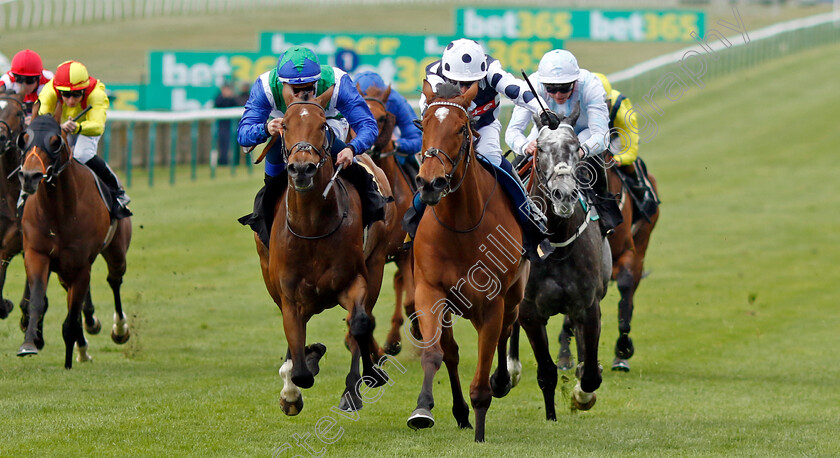 Rebel-Territory-0003 
 REBEL TERRITORY (right, Jim Crowley) beats VAFORTINO (left) in The National Stud Handicap
Newmarket 18 Apr 2023 - Pic Steven Cargill / Racingfotos.com