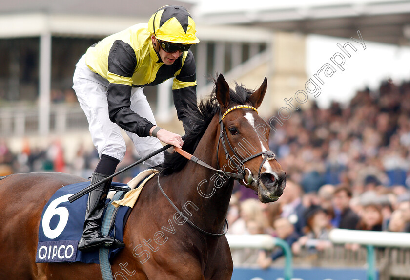 Worth-Waiting-0006 
 WORTH WAITING (James Doyle) wins The Charm Spirit Dahlia Stakes
Newmarket 5 May 2019 - Pic Steven Cargill / Racingfotos.com