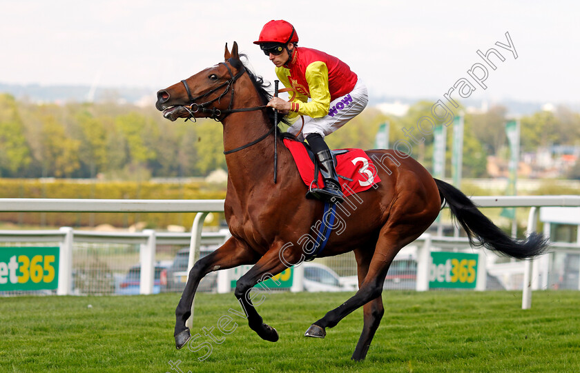 Goodwood-Odyssey-0006 
 GOODWOOD ODYSSEY (Kieran Shoemark) winner of The Nordoff & Robbins Judy Martin Memorial Handicap
Sandown 26 Apr 2024 - Pic Steven Cargill / Racingfotos.com