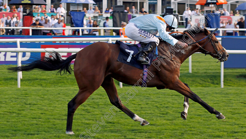 Red-Zone-Hero-0001 
 RED ZONE HERO (Ryan Moore) wins The Hippo Clean Edge Masking Tape Confined Nursery
Doncaster 15 Sep 2023 - Pic Steven Cargill / Racingfotos.com