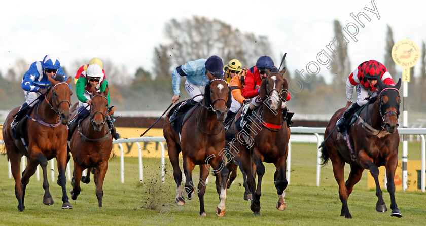 Breden-0002 
 BREDEN (right, Robert Winston) beats BEDOUIN (centre) RED ROYALIST (2nd right) and GRAPEVINE (left) in The South Downs Water Handicap Newbury 22 Sep 2017 - Pic Steven Cargill / Racingfotos.com