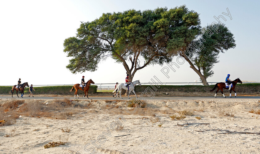 Bahrain-0001 
 (R to L) DREAM CASTLE, LORD GLITTERS, SOVEREIGN and BANGKOK training for the Bahrain International Trophy
Rashid Equestrian & Horseracing Club, Bahrain, 19 Nov 2020 - Pic Steven Cargill / Racingfotos.com