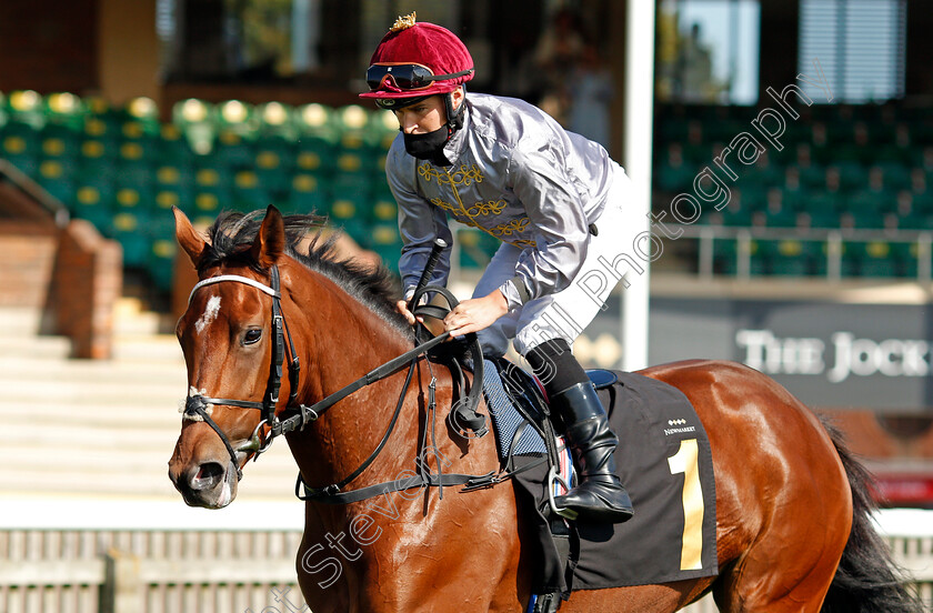 Haija-0002 
 HAIJA (Nicky Mackay)
Newmarket 19 Sep 2020 - Pic Steven Cargill / Racingfotos.com