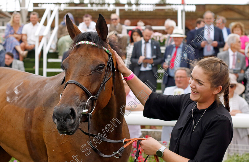 Haskoy-0003 
 HASKOY winner of The British EBF & Sir Henry Cecil Galtres Stakes
York 18 Aug 2022 - Pic Steven Cargill / Racingfotos.com