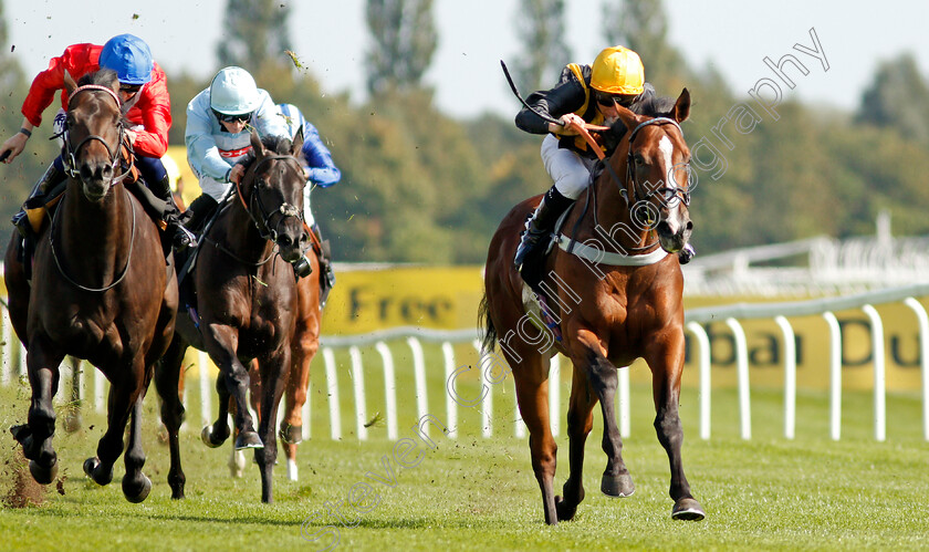 Whenthedealinsdone-0004 
 WHENTHEDEALINSDONE (right, Jason Watson) beats TWILIGHT CALLS (left) in The British Stallion Studs EBF Maiden Stakes
Newbury 18 Sep 2020 - Pic Steven Cargill / Racingfotos.com