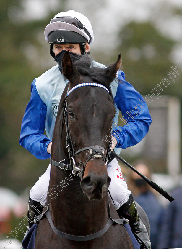 Sir-Edward-Elgar-0001 
 SIR EDWARD ELGAR (Robert Havlin) winner of The Bombardier British Hopped Amber Beer Maiden Stakes
Lingfield 27 Jan 2021 - Pic Steven Cargill / Racingfotos.com