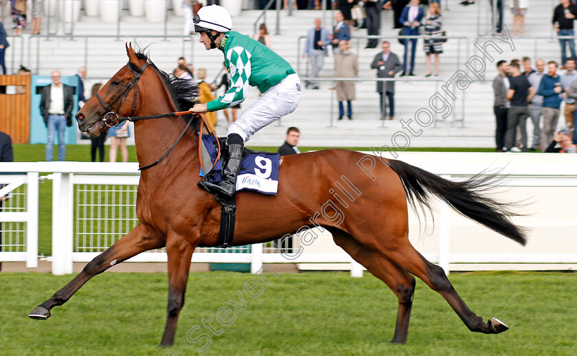 Zegalo-0001 
 ZEGALO (Charlie Bennett)
Ascot 7 Sep 2019 - Pic Steven Cargill / Racingfotos.com