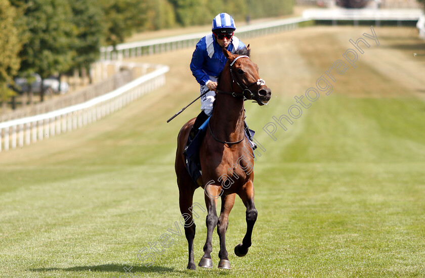 Bawaasil-0001 
 BAWAASIL (Dane O'Neill)
Newmarket 28 Jun 2018 - Pic Steven Cargill / Racingfotos.com