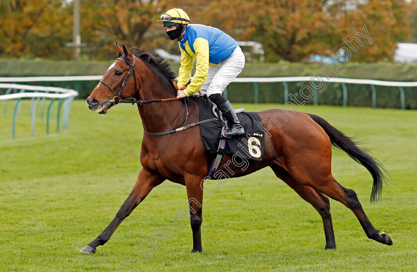 Orin-Swift-0001 
 ORIN SWIFT (Richard Kingscote)
Nottingham 28 Oct 2020 - Pic Steven Cargill / Racingfotos.com