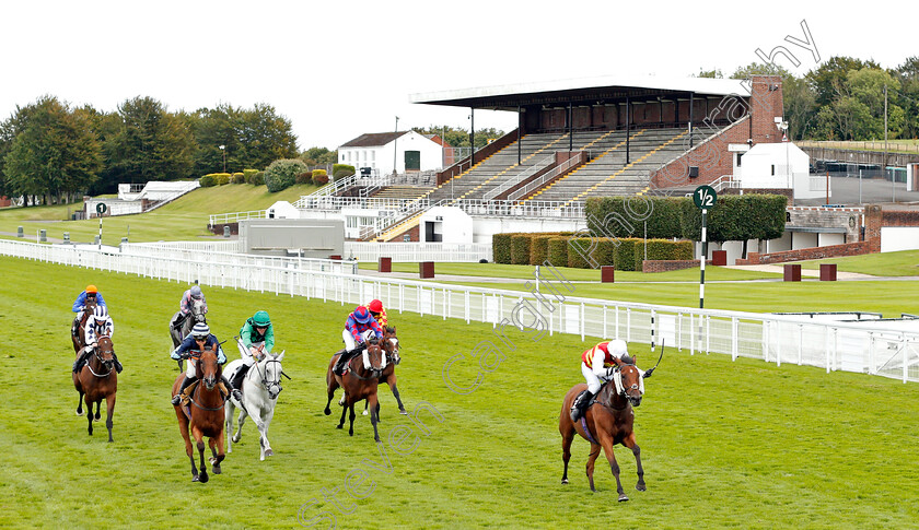 The-Game-Is-On-0001 
 THE GAME IS ON (Guy Mitchell) wins The Gay Kindersley Amateur Jockeys' Handicap Div1
Goodwood 30 Aug 2020 - Pic Steven Cargill / Racingfotos.com