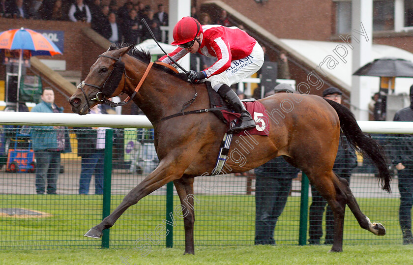 Mordin-0004 
 MORDIN (Pat Cosgrave) wins The Betway Edge Green Handicap
Haydock 27 Apr 2019 - Pic Steven Cargill / Racingfotos.com