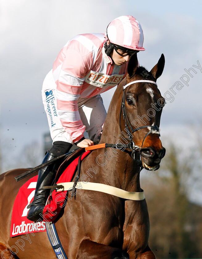 Roysse-0002 
 ROYSSE (Ben Jones)
Kempton 22 Feb 2025 - Pic Steven Cargill / Racingfotos.com